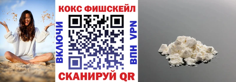 КОКАИН Fish Scale  Купить закладки  Ясногорск 
