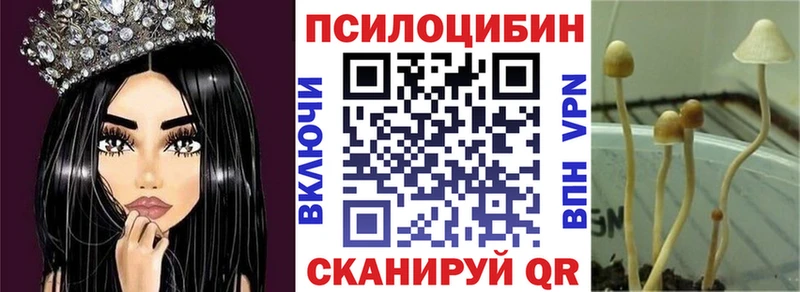 Купить  Ясногорск  Псилоцибиновые грибы GOLDEN TEACHER 